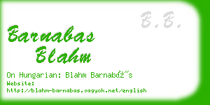 barnabas blahm business card